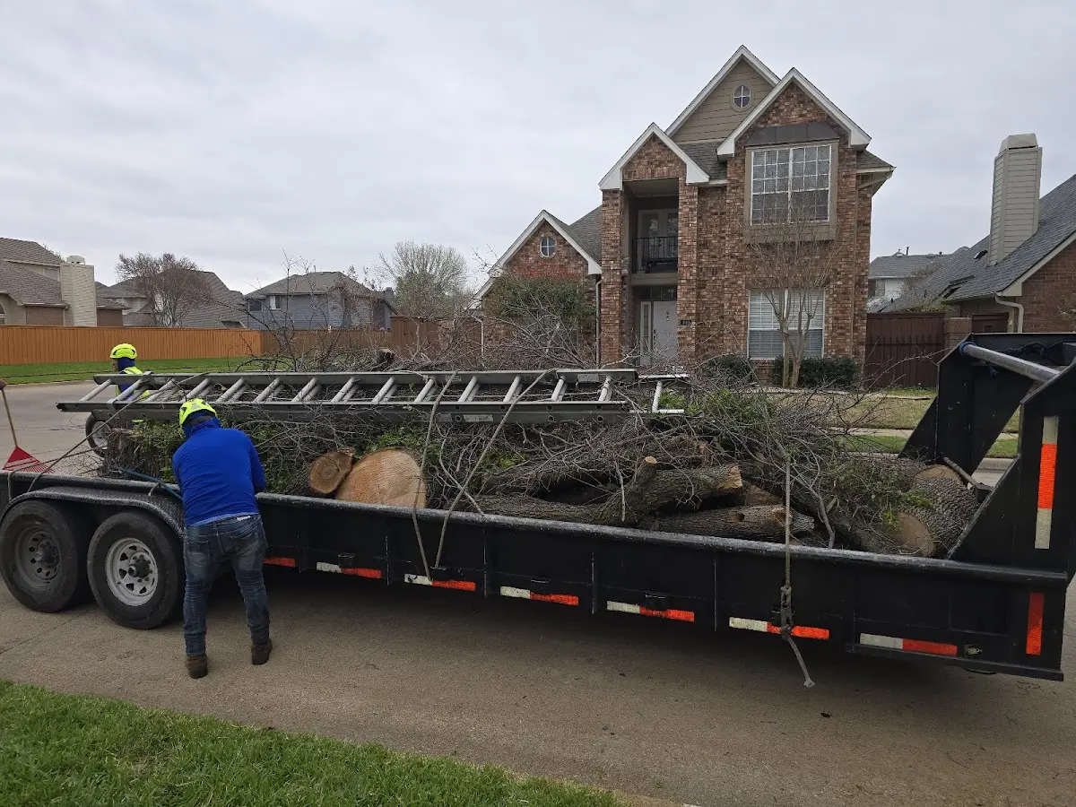 Expert Tree Fertilization with proper safety equipment in Eastman
